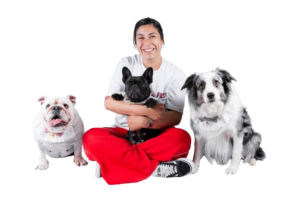 Cachorros felices - Adiestramiento Pambo