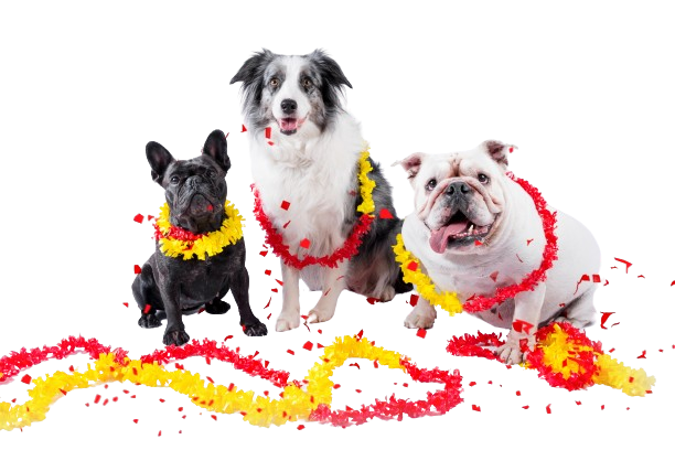 Guardería Canina - Adiestramiento Pambo