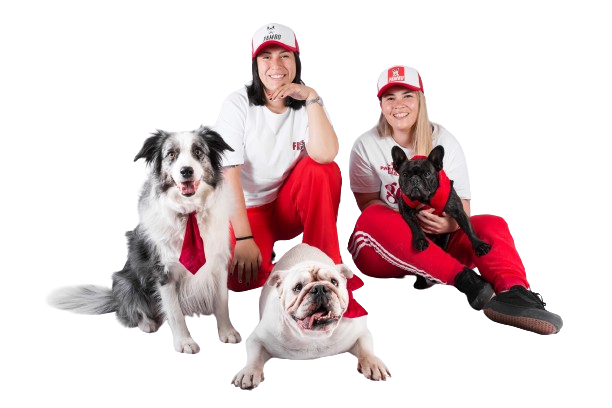 Historia de Adiestramiento Pambo